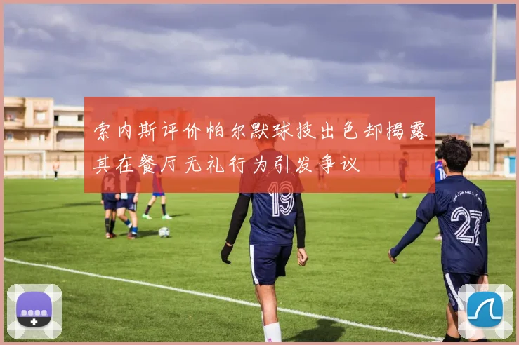 索内斯评价帕尔默球技出色却揭露其在餐厅无礼行为引发争议