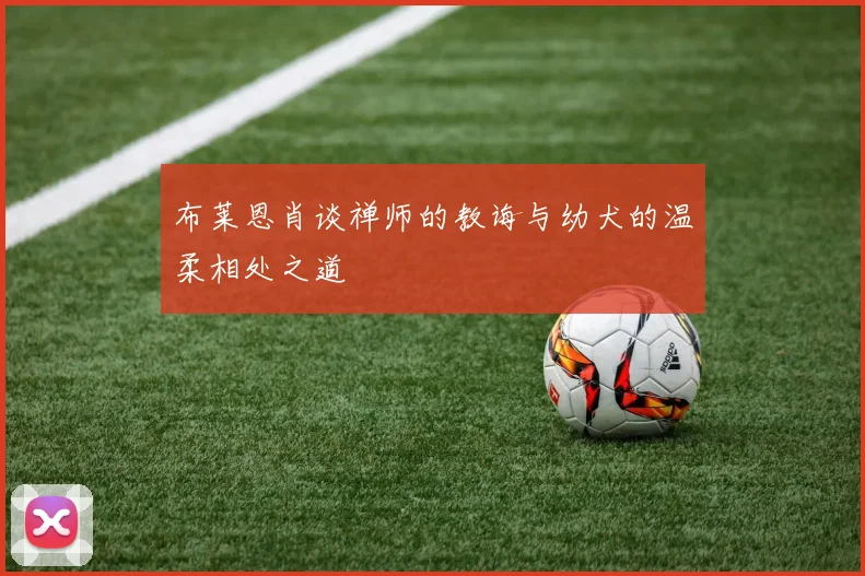 布莱恩肖谈禅师的教诲与幼犬的温柔相处之道